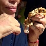 d19445be-cfd7-417d-9656-19cfea597cce